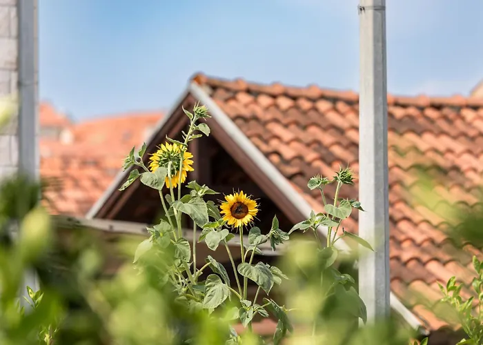 Apartmán Sweet Dreams